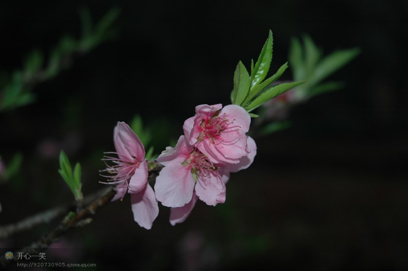 池塘|不与穷人交朋友