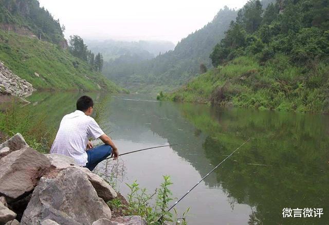 钓鱼|喜欢闹窝的小鱼，如今成为了抢手货
