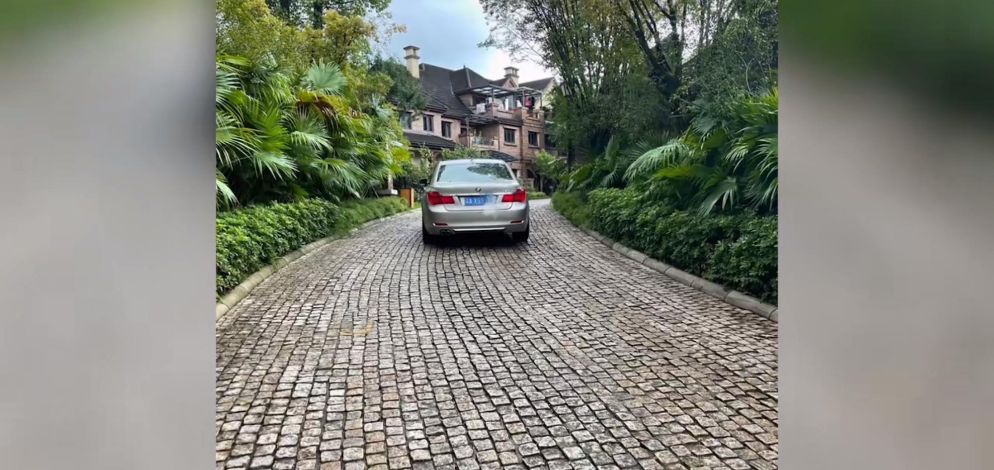 邯郸 14岁柯基被宝马两次碾压致死,司机不认账,狗主人追究责任遇难题