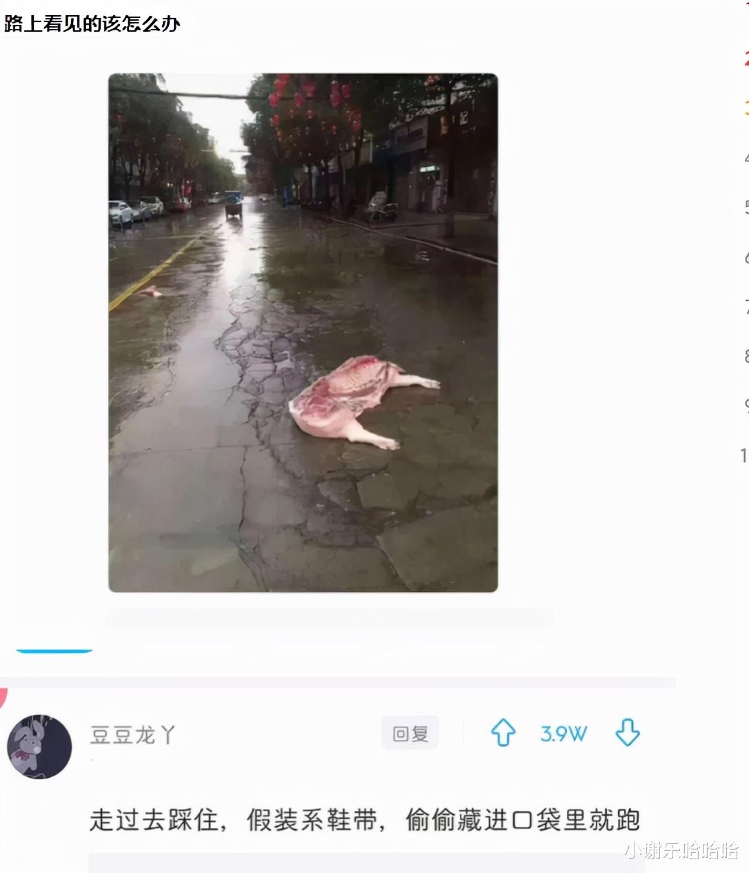 神回复:为什么运动会上,男生都喜欢看女生跑步?神评真相了