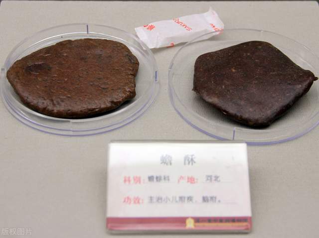 麝香|心絞痛、心梗、心肌缺血？送你七味中藥，活血化瘀，開竅醒神