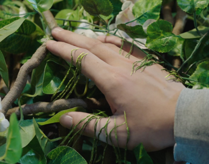 司藤|看看《司藤》的寒酸饭菜，再看看他们的道服化，佩服