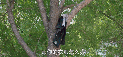 孟晚舟|自杀前的12个小时，她经历了什么