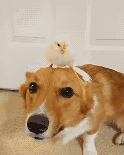 |昨天晚上去郊区钓鱼，回头看见一个盒子，这是什么东西？