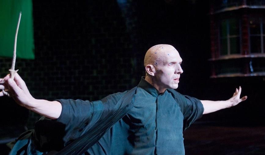 拉尔夫·费因斯|《哈利·波特》：拉尔夫·费因斯是如何变成伏地魔的呢？