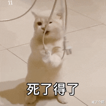 饮食|让你悄悄发胖的饭后5个习惯，你有几个？赶紧自查一下