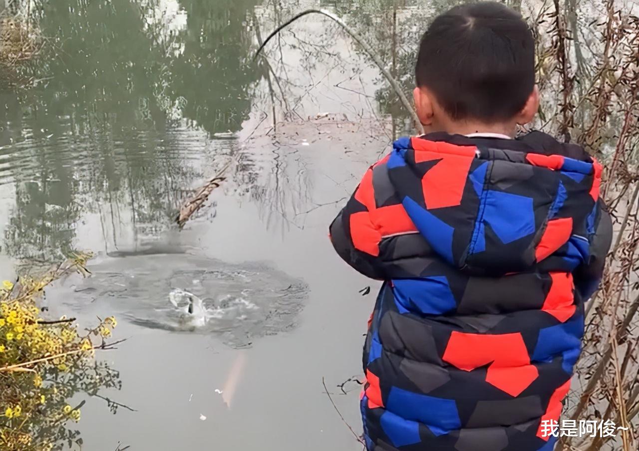 湖北|湖北一小男孩拿树枝当鱼竿，抛竿不到10秒就钓上大鱼，结局很暖心