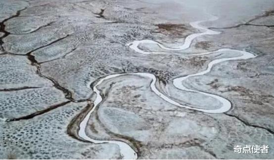 科学家 3万年前的种子被复活，开出白色花朵，研究者：这不是一个好消息