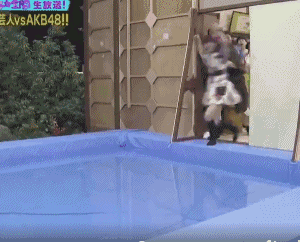 数据线|变态的日本综艺，和被虐待、没有尊严的女艺人