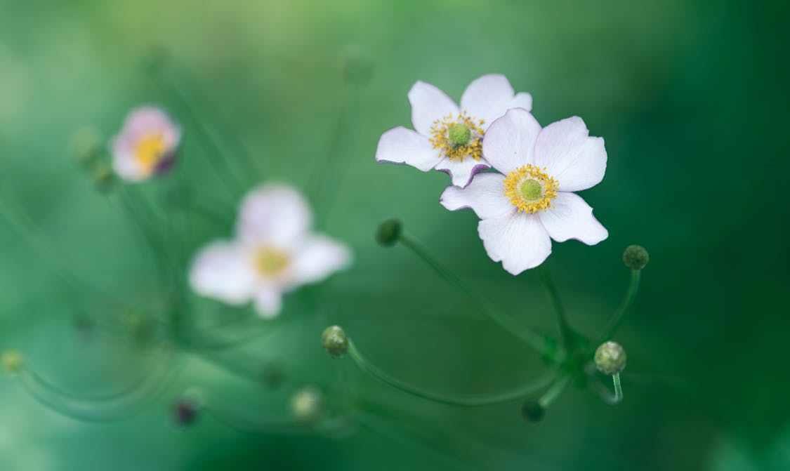开心生活助手|与人相处，凡事多留个心眼，有备无患