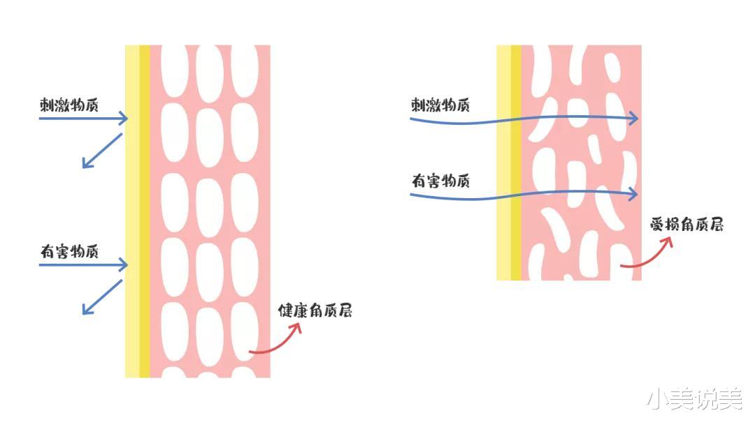 为什么一到换季皮肤就不好