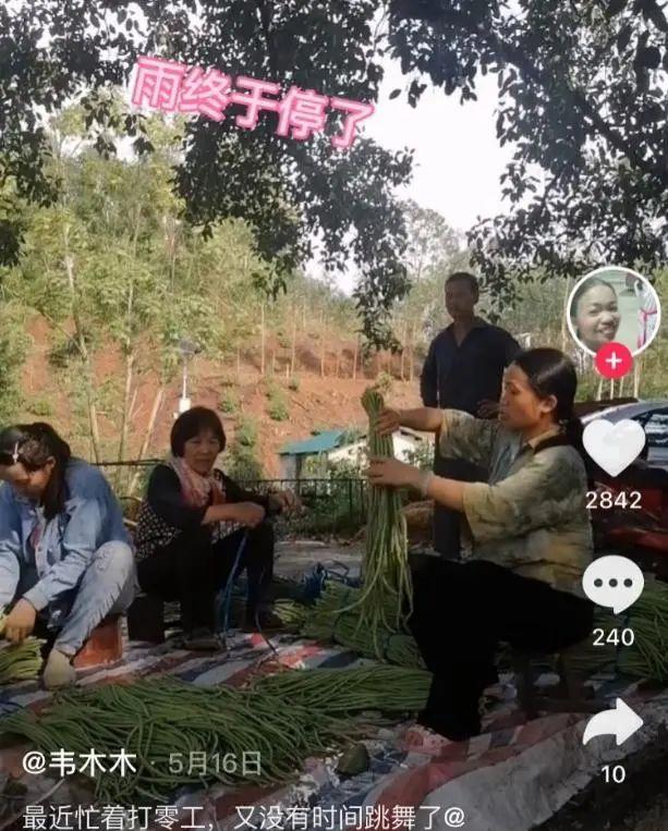机器 37岁留守妇女田埂上跳舞爆火，名校女学霸沦为生育机器