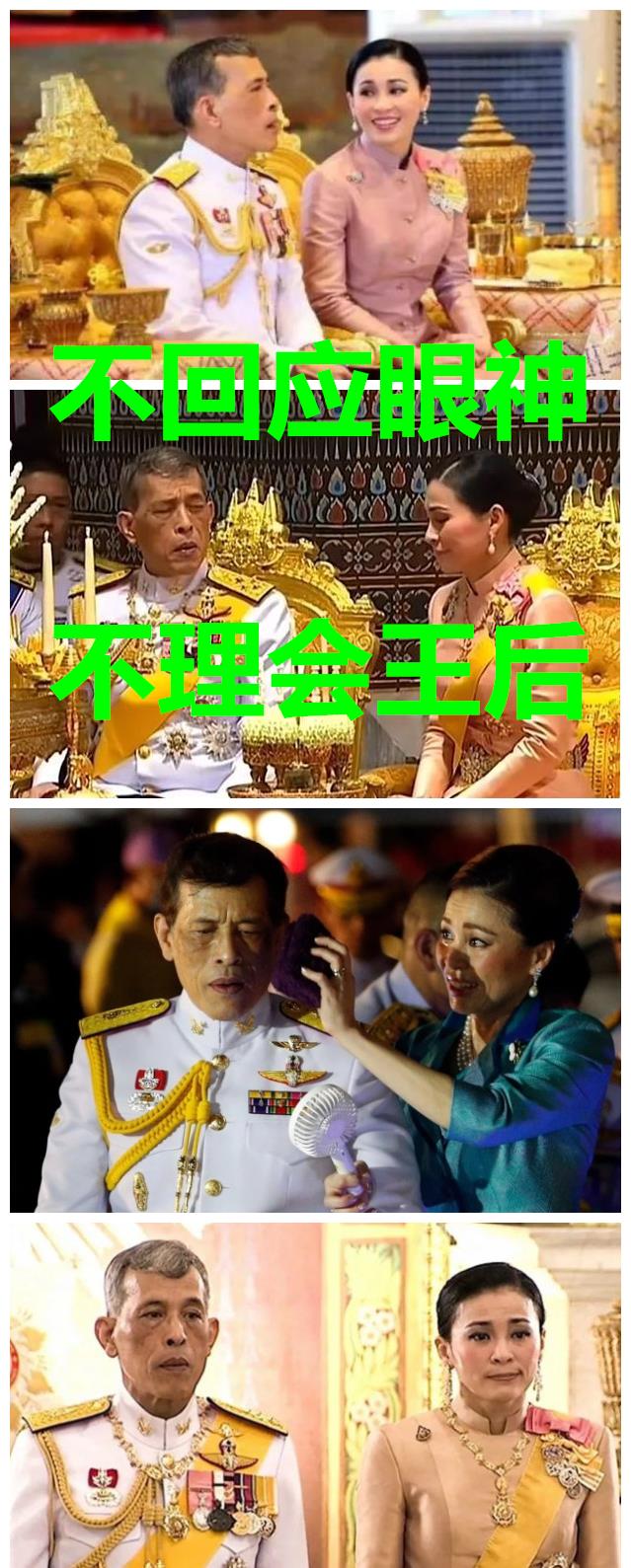 一只麦兜 苏提达也曾是白月光,热情胜过诗妮娜,境况突变太憔悴