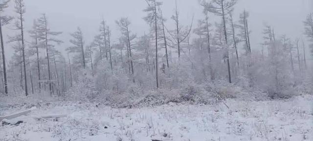 自驾 立夏！黑龙江这里鹅毛大雪，下了14个小时