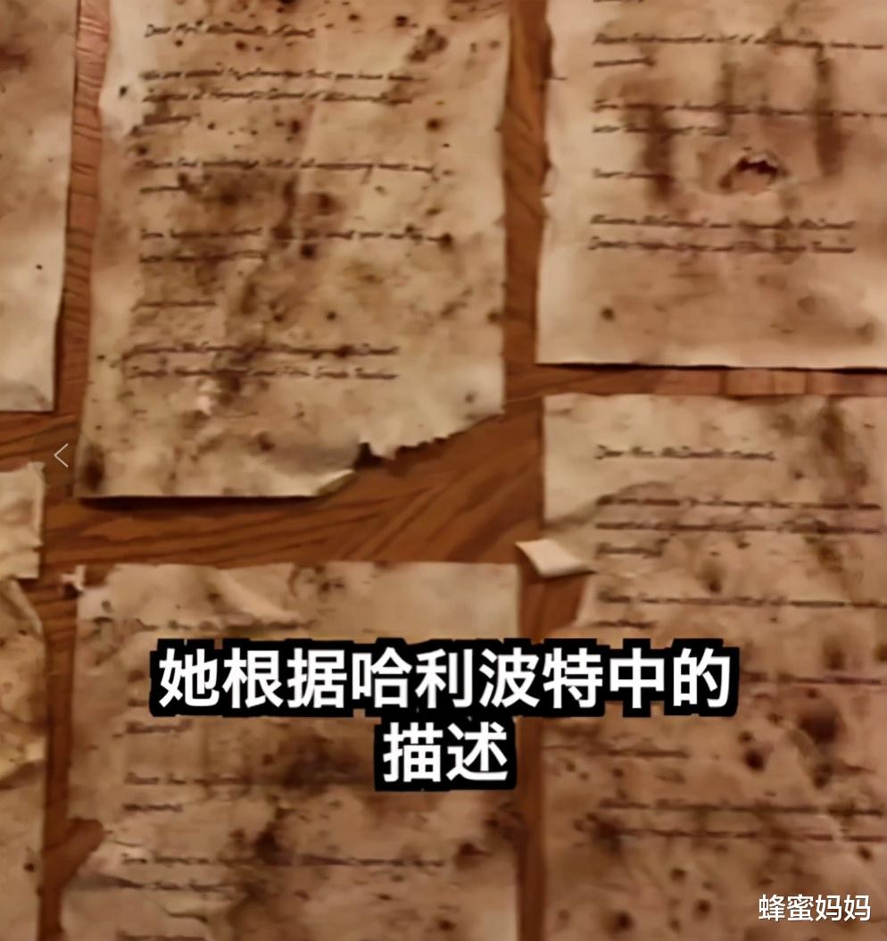 蜂蜜妈妈|“叮!霍格沃茨录取通知书到了,请签收”,网友:又是别人家老师