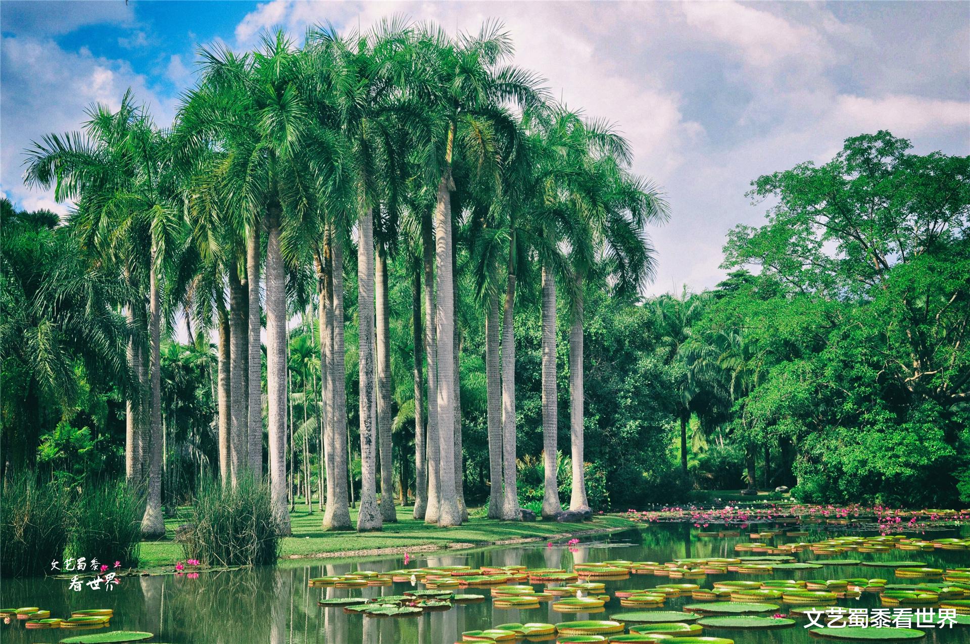 旅行 公认适合北方人过冬养老的地方，比云南昆明温暖，比广西北海好玩