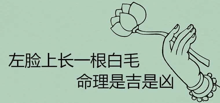 诚然情感之事 左脸上长一根白毛命理是吉是凶