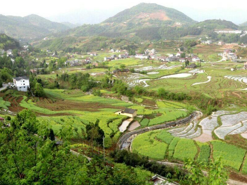 河南 河南一个“不起眼”的小村庄，有山有水没门票，住宿仅需50元