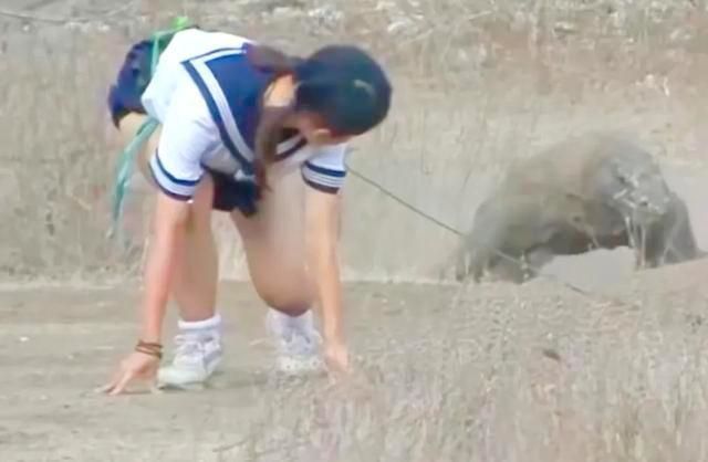 科莫多巨蜥咬一口,会发生什么?开罐器式撕咬,致命毒素双管齐下