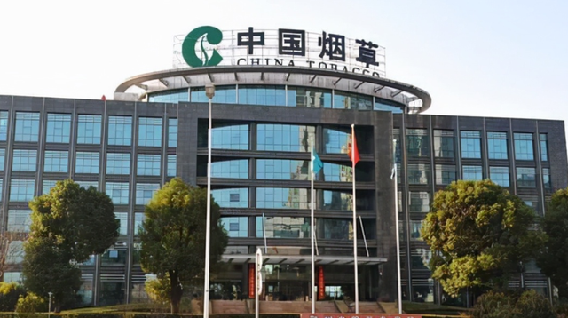 招聘|中国烟草公司计划招录338人,学历降至专科,大专生要抓住机会