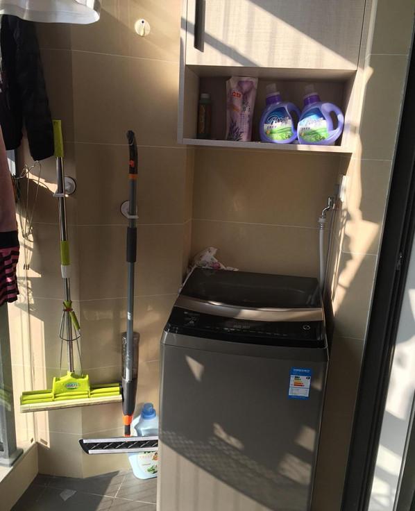 甲醛|入住半年，家里摆满吊兰长势很好，难道是甲醛养分太足了？