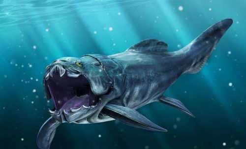 章鱼 世界上最恐怖的动物,多吸几口,成年人很可能就因为失血过多而身亡了