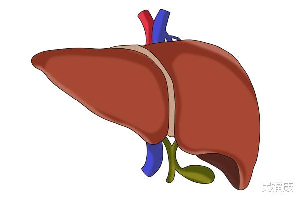 疾病|早上不吃饭，能量少一半，想要好开头，吃顿好早饭