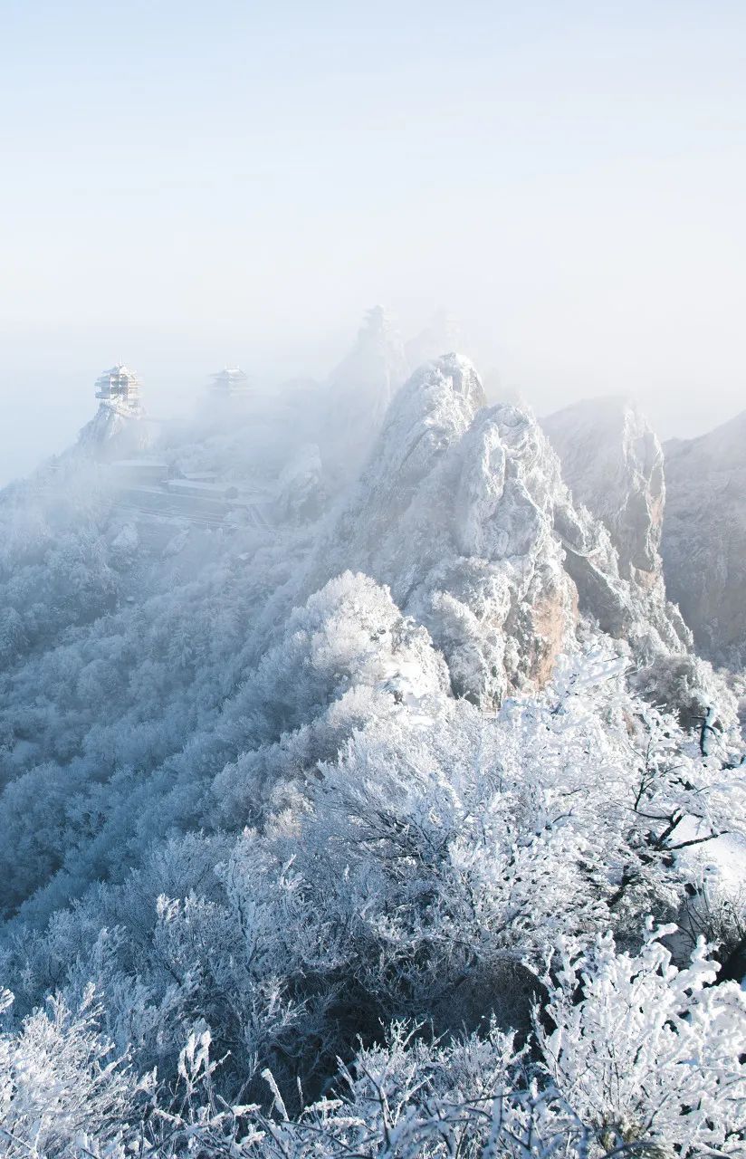 白马寺|黄轩、王一博新剧刚开播就爆了，它背后的这座老城也早该火了！