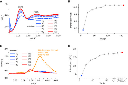 寒武纪 《Chem》用于释放阳离子货物的层状超分子水凝胶材料