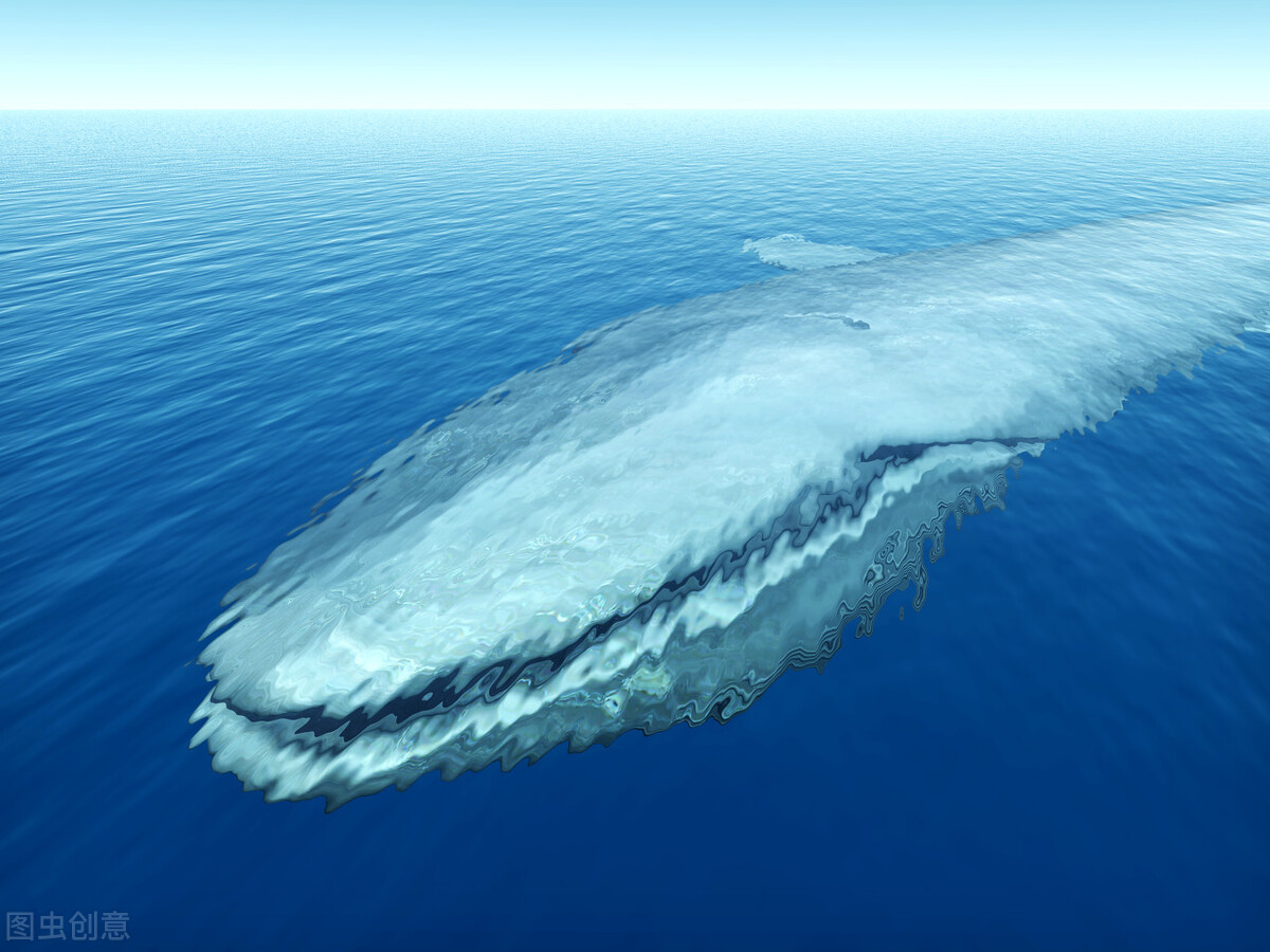 鲸鱼 下海5000多万年，完全适应海洋环境，为什么鲸鱼没有进化出鳃呢？