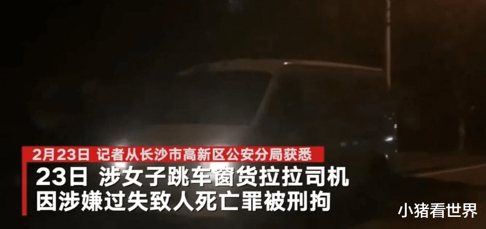 小猪看世界 货拉拉成了“祸拉拉”,巨额赔款平息“车莎莎”事件,背后真相成疑