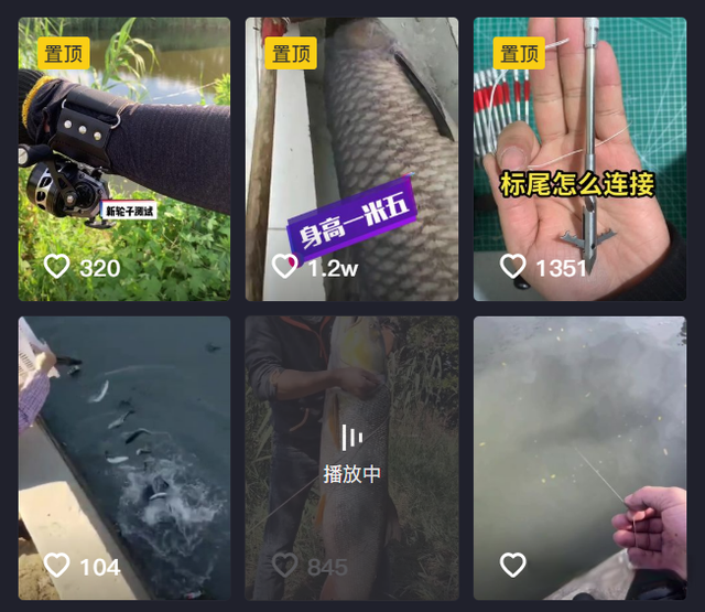 江苏省|79斤淡水之王不敌一鱼镖？江苏网友晒出巨型鱤鱼，疑似是鱼镖所打！