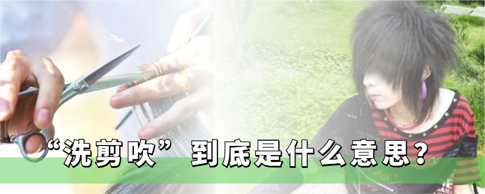 高马尾 “洗剪吹”是什么意思？了解这三个梗，你就知道其中的含义了