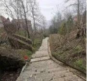 新报业传媒 【5A创建】鸡公山创建国家5A级旅游景区工作纪实（三）