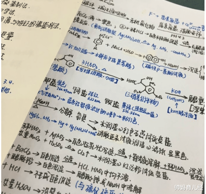 帅妈育儿经|外交部翻译官火了，明明可以靠脸吃饭却偏偏靠才华，个个都是学霸