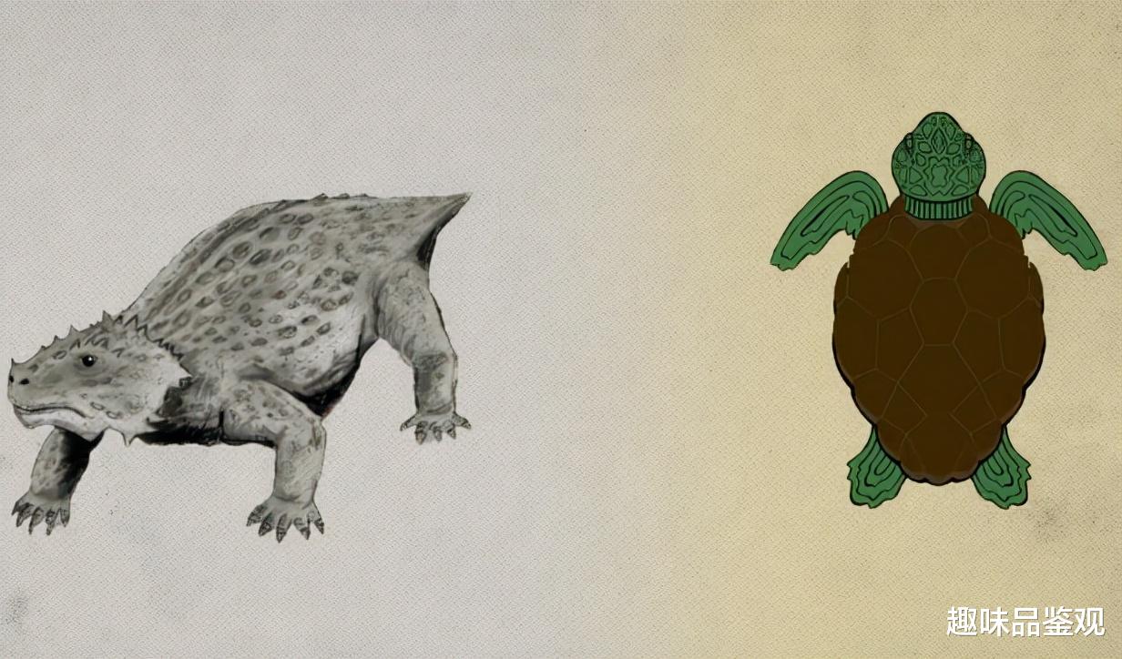 蝙蝠 进化论最大的bug，乌龟起源成谜，为何温度能决定后代性别？