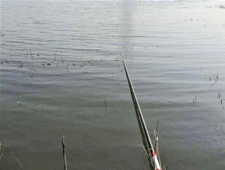 饵料|冬季野钓是钓灵还是钓钝？钓鱼时，饵料是触底好还是躺底好？