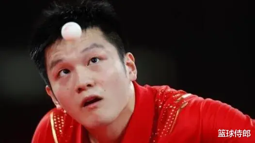 樊振东|答球迷：樊振东能否成为我国第5位男子大满贯得主？