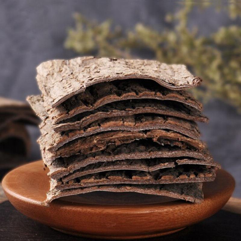 牙齿|每日一味中药，杜仲，补肝肾、祛风湿、安胎