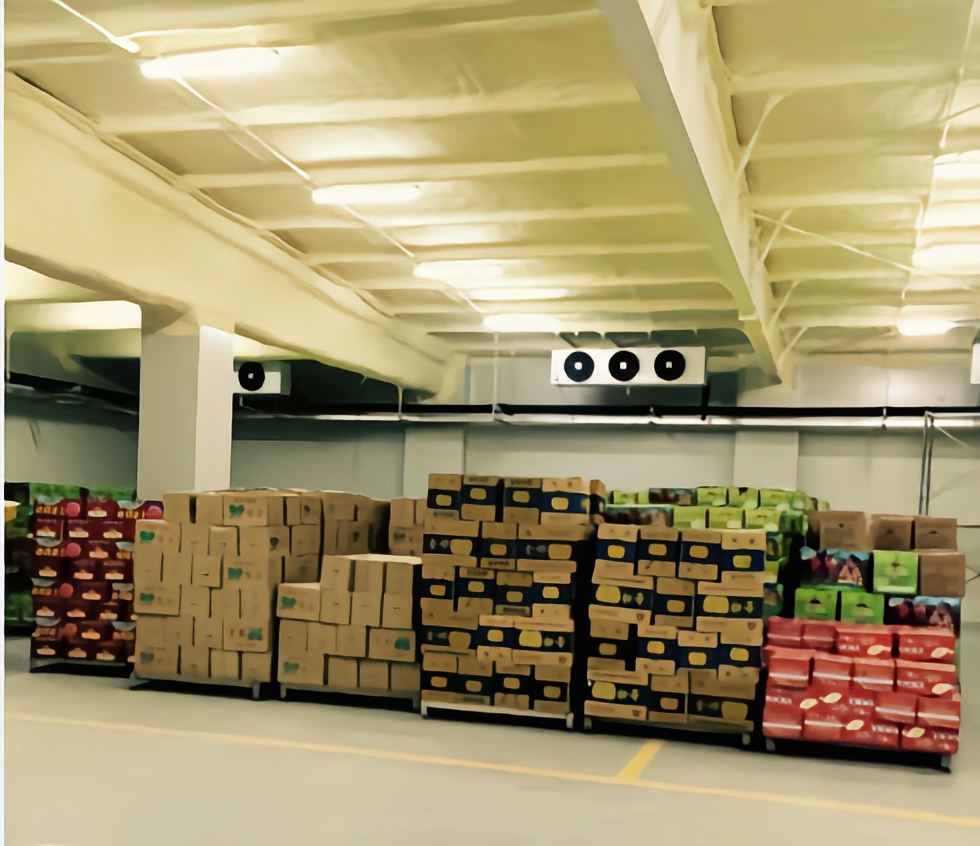 果蔬冷库储藏需要注意什么？基本流程是怎么样的？