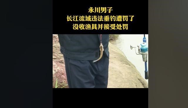 饵料|男子在长江“十年禁渔”警示语下钓鱼被罚,网友:“顶风作案”?