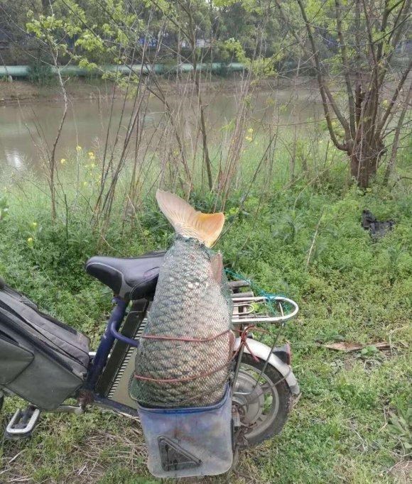 广西|壮观!广西一河道数百名钓鱼人挤坐一起,垂钓盛行是消费降级?