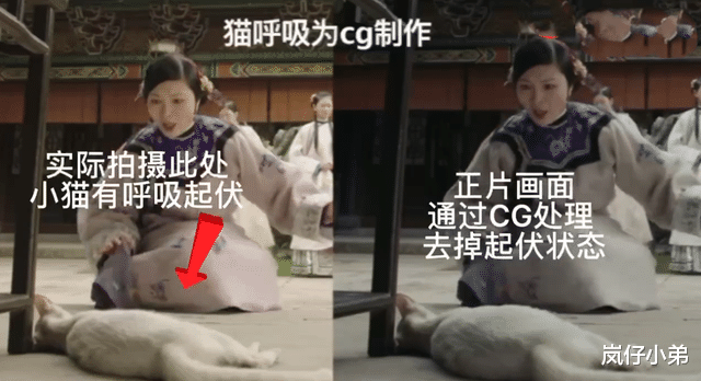 谁是凶手|《当家主母》剧中毒猫事件后续来了，诸多群演发声，打脸官微回应！