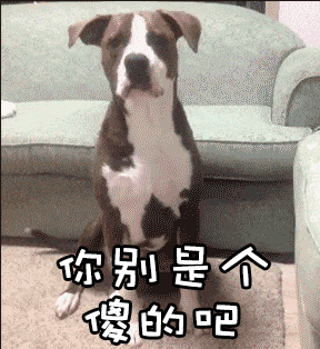 美国队|遇到巨婴同事，你就骂了吧