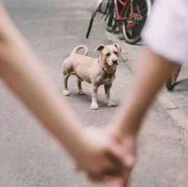 赵露思|对她的滤镜,碎了一地?