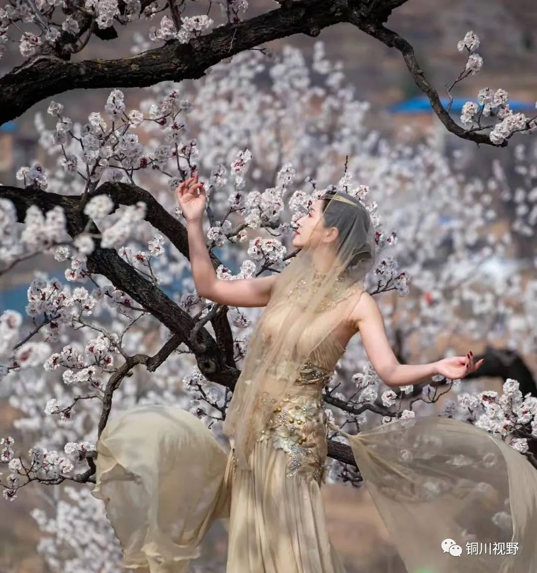 铜川周春辉 气球[【作者：铜川陈广建】