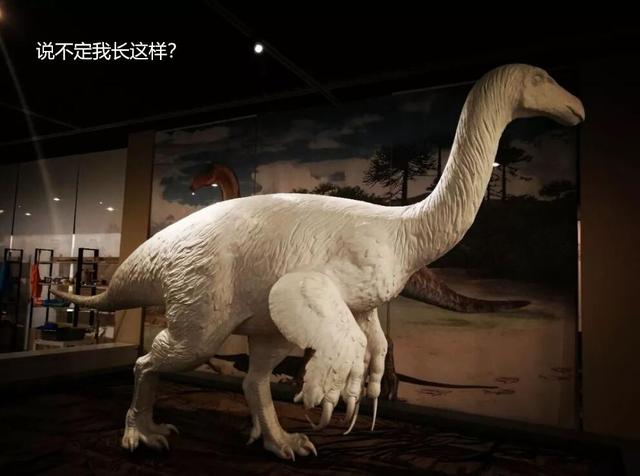 假如大象早已灭绝,科学家能通过化石复原出大象的长鼻子吗?