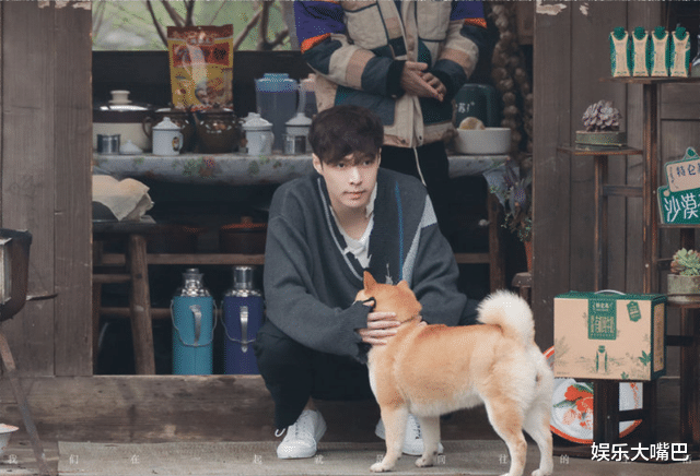 彭昱畅|《向往5》下期蘑菇屋一家迎来“大翻身”，艺兴彭昱畅彻底疯狂了