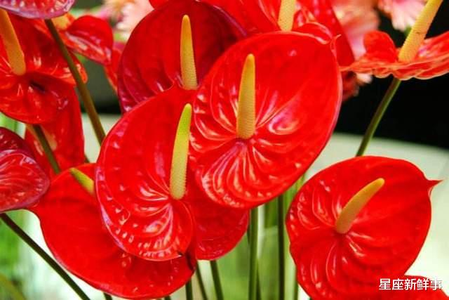 天蝎座|七月接好运,职场得意的前5名星座,努力终有回报