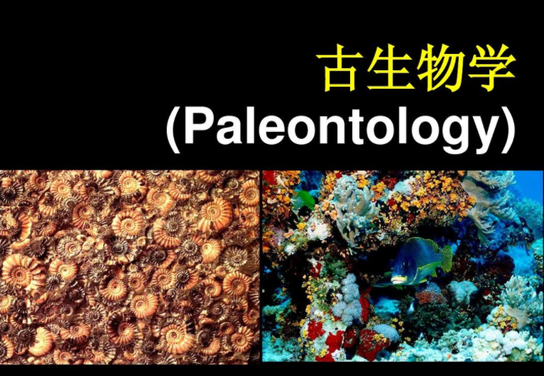 学习古生物学,未来可以做这些工作
